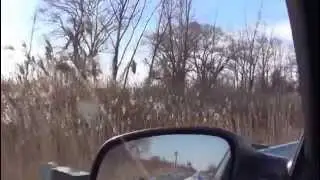DNR & BSC a land swap, Video of the Quanicassee Property, 2015 01 24, Case 20140112