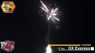 OX5584 Mad Ox Fireworks 500g Ox Express