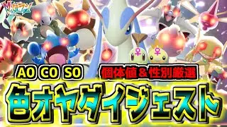 色オヤブンの個体値&性別厳選ダイジェストォォォ！！！運命の性格な〜んだ！！【Pokémon LEGENDS Z-A】