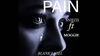 Sniizii ft Moggie - Pain (Blank Babel 2023)