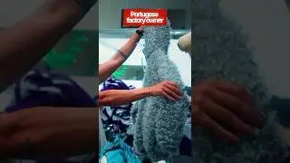 Crazy Premium Fabric Blends in Portugal