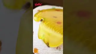 American Nuts love | Vadilal Ice Creams