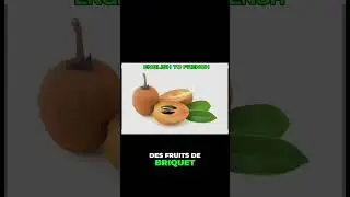 Fruits in English and French: Learn with us!