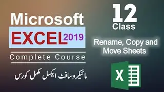 Class 12 | Rename, Copy and Move Sheets |  Ms Excel 2019 Complete Course