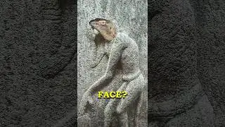 Unexplained Carvings Stun Archeologists 😡