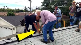 [Full Story] This 75 Year-Old Was Struggling To Fix His Roof, But A Single Photo Changed Everything&hellip;