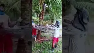 top singko bapak2 5 funny video #top5 #funny #memes #trynottolaugh #giveaway #fun #laugh #humor #xd