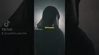 Who (or What) are Shadow People?