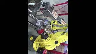 Fruit case kartonnen doos robot hand cartoning omhullende machine automatische kartonnen verpakkings