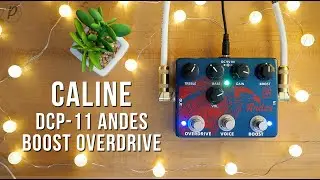 Caline DCP-11 Andes Boost Overdrive