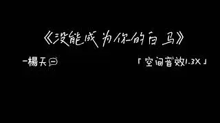 《没能成为你的白马》-楊天一「空间音效1.3x」