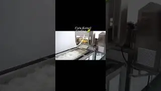 Sweet corn thresher machine corn kernel production line #corn