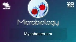 L4: Myocobactrium tuberculosis; Microbiology