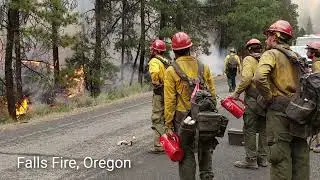 Wildfire Week in Review: August 9, 2024