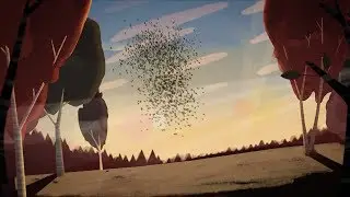Who are BirdLife International? An Animation on Bird Conservation.
