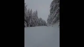 A Natale si scia!! ⛷️⛷️⛷️❄️❄️❄️ #shorts #sci #ski #snow #christmas