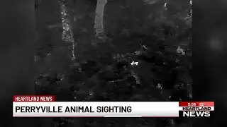 MDC expert addresses drone footage of unidentified animal in Perry County, Mo.