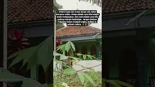 Sebuah refleksi singkat tentang dualitas kehidupan dan kematian.#FilosofiHidup #Kehidupan #Kematian