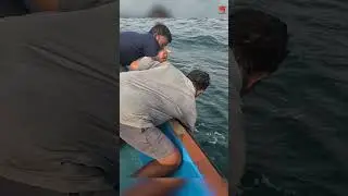 Sea Fish Catching Videos #fishing #fishingvideo #fishingtime