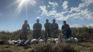 Early Goose Opener (20+ Birds!) 2025 