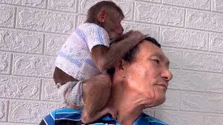 Cute Monkey | Cute Asher taking care of grandpa