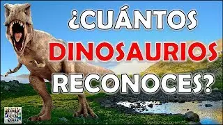¿Cuántos 