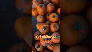 Kam s deťmi? Tekvičkov&aacute; farma