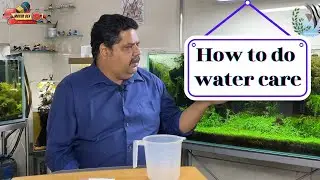 How to Use Aquarium Water Care the Right Way