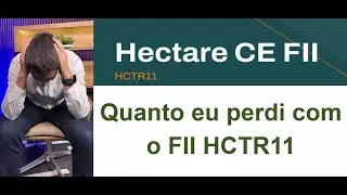 Quanto eu j&aacute; perdi com o FII HCTR11