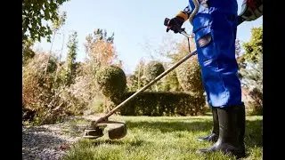 Lawn Care Tampa