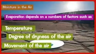 SST| Moisture In The Air| Class 7th