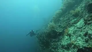 2025.08.22 04 FUN SCUBA GOPRO13 DIVESTORY MOALBOAL