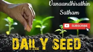 DAILY SEED-2026| Matthew 18:35 in Tamil| #Dailydevotion #Dailyverse #Dailybibleverse #Dailyseed