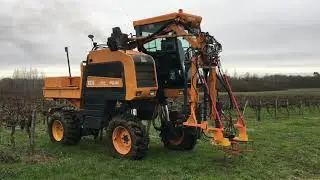 Gagner du temps avec la taille semi minimale dans les vignes! Feedback d'un vigneron-bricoleur