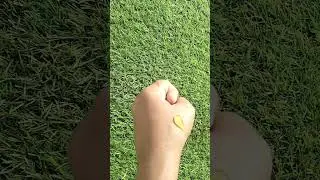 Wow apple cider vinegar face wash#review#wow#facewash#ytshorts#youtubeshorts#trendingshorts
