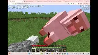 Video 2