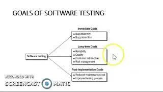 Evolution and Goals of Software Testing