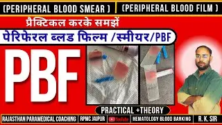 PERIPHERAL BLOOD FILM || Peripheral Blood Film / Smear || P.B.F || HEMATOLOGY PRACTICAL || BLOOD ...