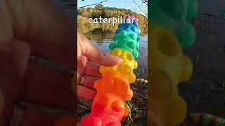 Learn Bugs Names at the Lake for Babies Kids: Centipede Millipede Caterpillar Spider Ladybug