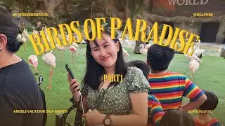Birds of Paradise /Man Made Waterfalls