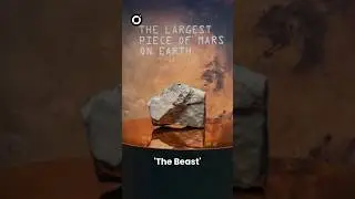 The Largest Mars Rock ever found on Earth is now being Auctioned! #shortsfeed #mars #space