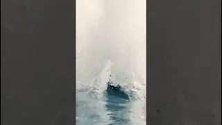 Conquering Waves with Graceful Power!