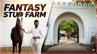 You might not have seen such a mare, Mastani fantasy stud farm +91 97148 54369