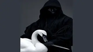 Le chant du cygne