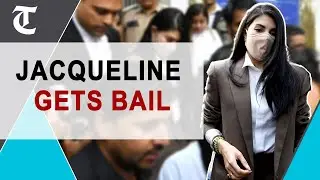 Bollywood actor Jacqueline Fernandez granted bail by Delhi court in Rs 200-cr money laundering case