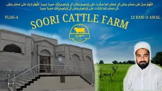 Unseen Village Life with Soori Cattle Farm's Beautiful Rabi' al-Awwal Milad & Mosque Gathering