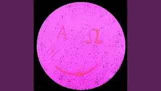 Red Hawthorn Tree (Live 19/06/2004)