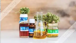 Sera Chews CBD Yummy Gummys Reviews (US): Benefits, Cost, Side Effects, Ingredients