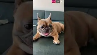 IG Live |Yukwon - Block B| 211004 (cut)