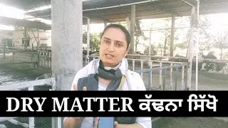 DRY MATTER calculate krna bhut EASY hai😃